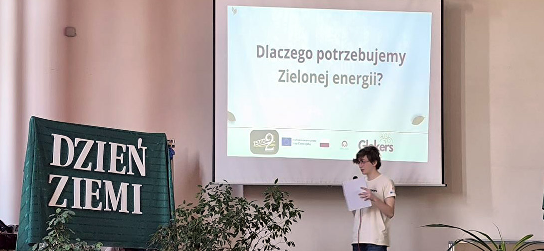 zajaczek
