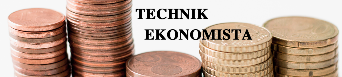 Technik ekonomista